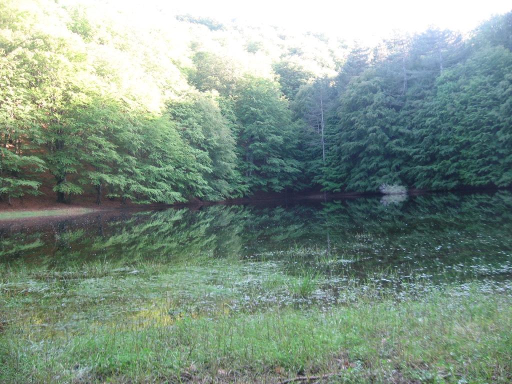 Laghi.........della CALABRIA